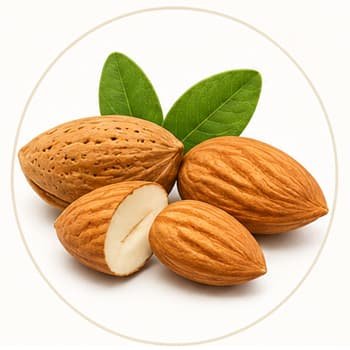 Sweet almonds